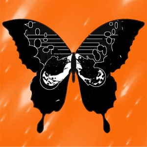butterflies: 1614