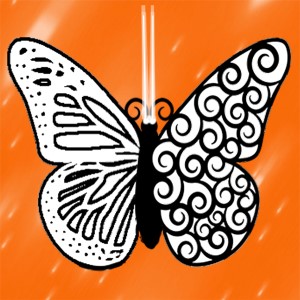 butterflies: 491