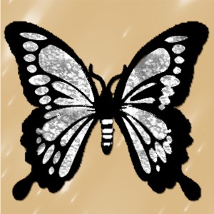 butterflies: 1610