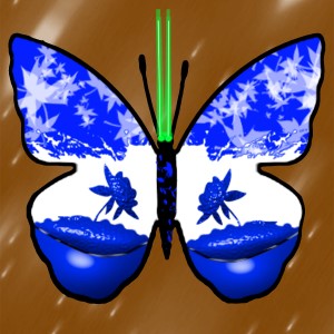 butterflies: 593