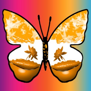 butterflies: 192
