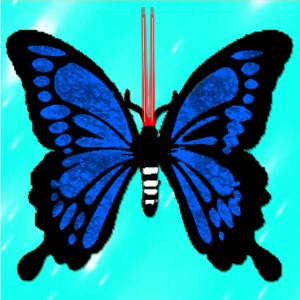 butterflies: 837