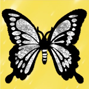butterflies: 833