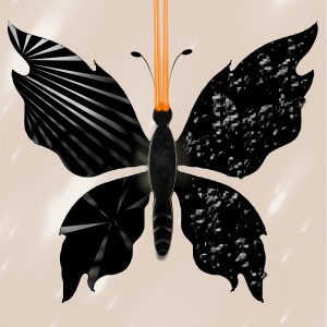butterflies: 365