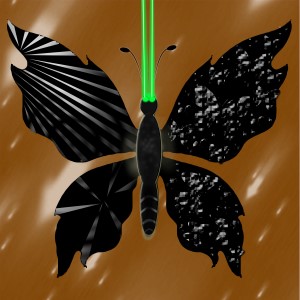 butterflies: 1333
