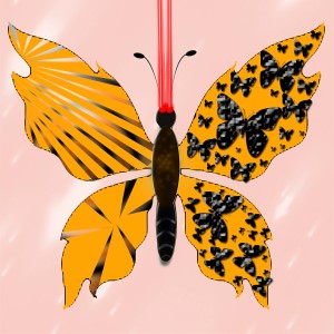 butterflies: 770