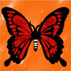 butterflies: 1817