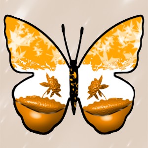 butterflies: 1134
