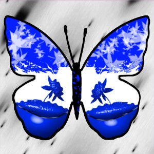 butterflies: 2119