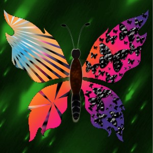 butterflies: 1532