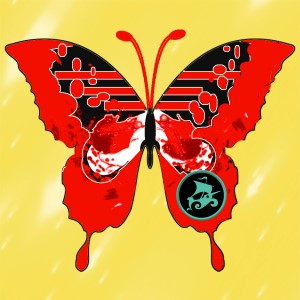 butterflies: 54