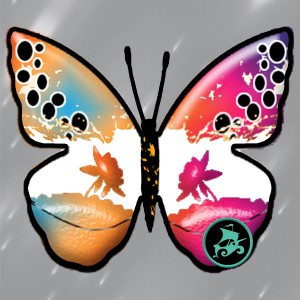 butterflies: 113