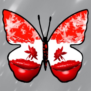 butterflies: 1736