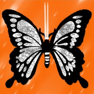 butterflies: 1809