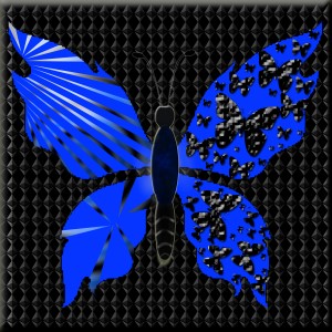 butterflies: 672