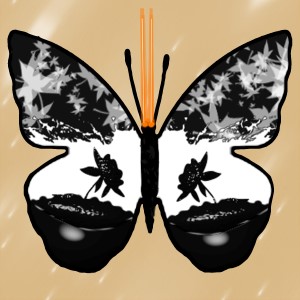 butterflies: 180
