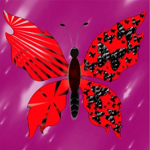 butterflies: 1341