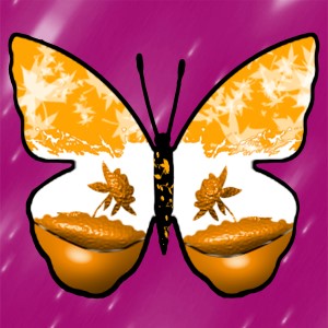 butterflies: 668