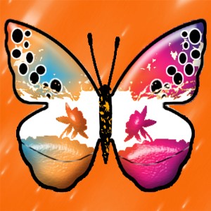butterflies: 2008