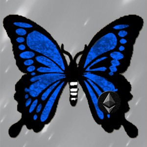 butterflies: 656
