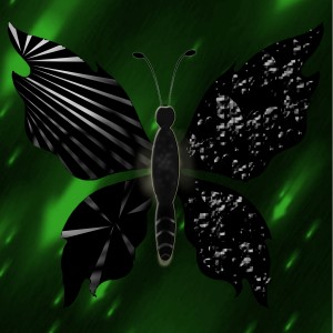 butterflies: 373