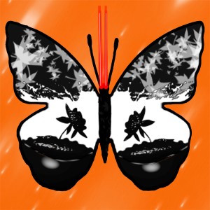butterflies: 861