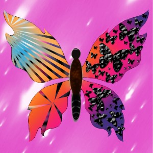 butterflies: 1748