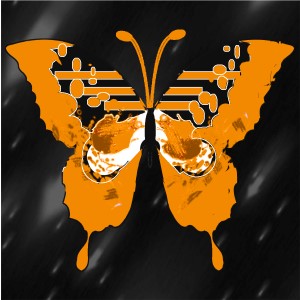 butterflies: 715