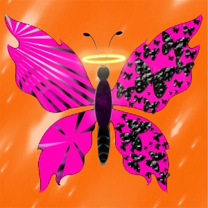 butterflies: 231