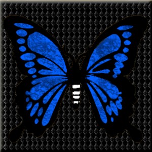 butterflies: 306