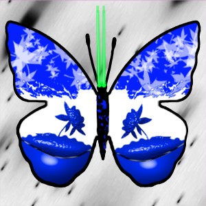 butterflies: 2198