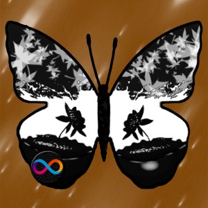 butterflies: 1622