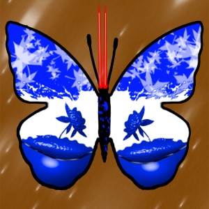 butterflies: 1081
