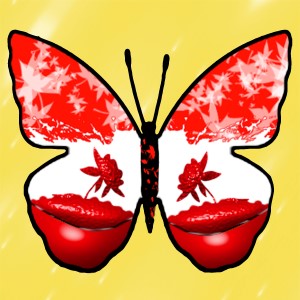 butterflies: 853