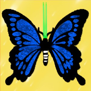butterflies: 1313
