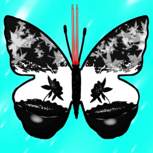 butterflies: 648