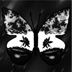 butterflies: 1695