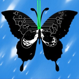 butterflies: 786