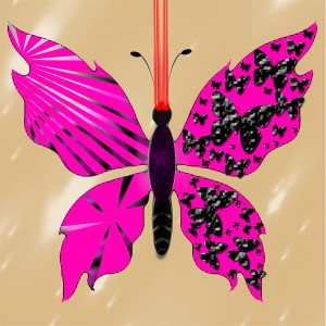 butterflies: 711