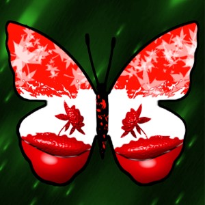 butterflies: 581