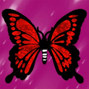 butterflies: 105