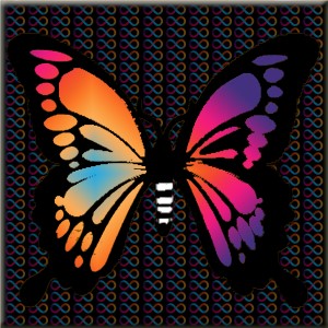 butterflies: 1138