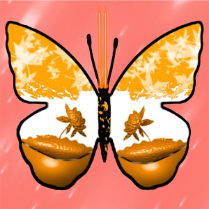 butterflies: 42