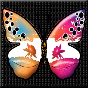 butterflies: 1077
