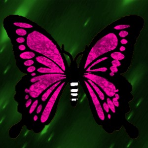 butterflies: 920