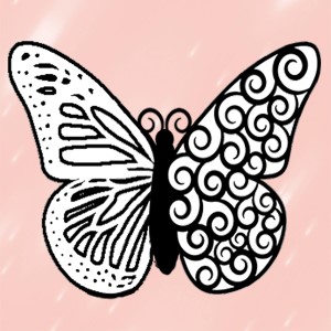 butterflies: 577