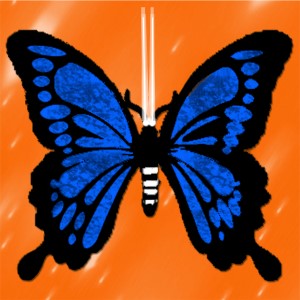butterflies: 1626
