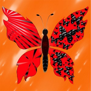 butterflies: 1142