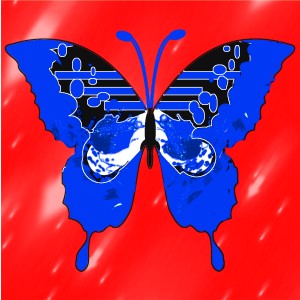 butterflies: 1378