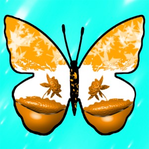 butterflies: 377
